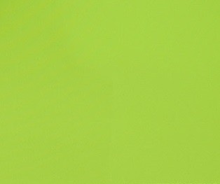 2510 neon - green